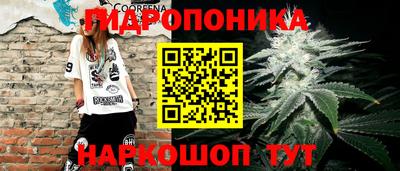 гидра Чапаевск